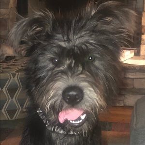 Meet your Posher, Todd